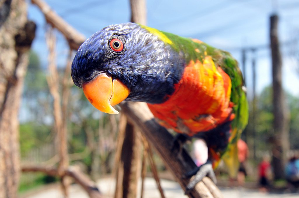 DSC-6666.jpg