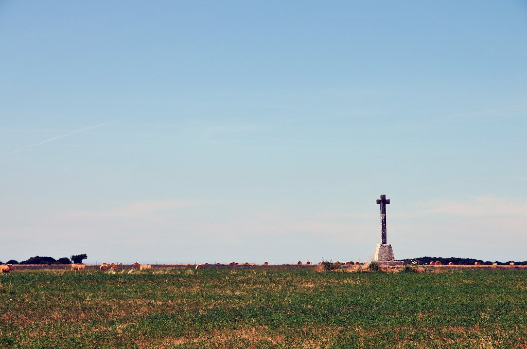 DSC-7487.jpg