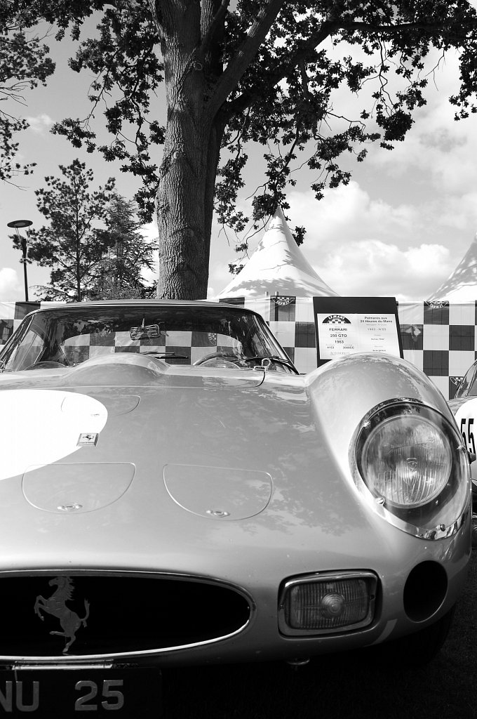 Le Mans Classic 2008 - Ferrari 250 GTO